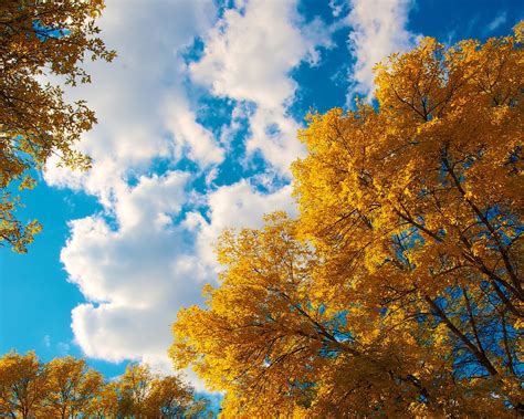 1280x1024 Trees Autumn Clouds 1280x1024 Resolution Hd 4k Wallpapers