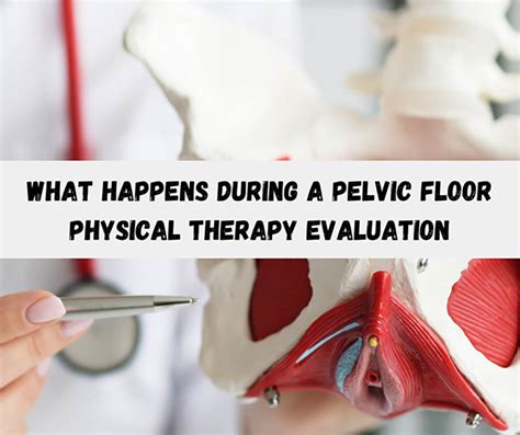 What Happens During A Pelvic Floor Physical Therapy Evaluation Vitality Therapy And Performance