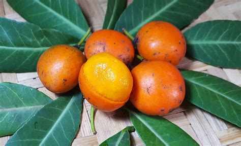 Frutas Com A Letra I