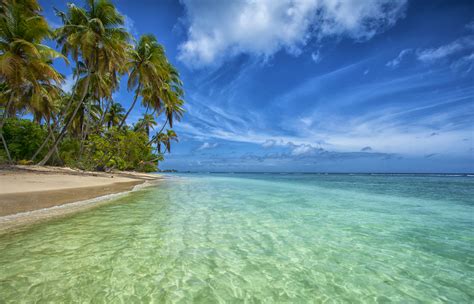 Trinidad And Tobago Travel Caribbean Lonely Planet