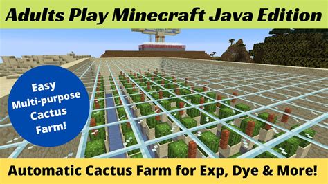 It turns cactus into exp using sticks from example a witch farm. Minecraft Auto Cactus Farm for XP and Dye too - YouTube