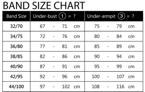 China Bra Size Chart