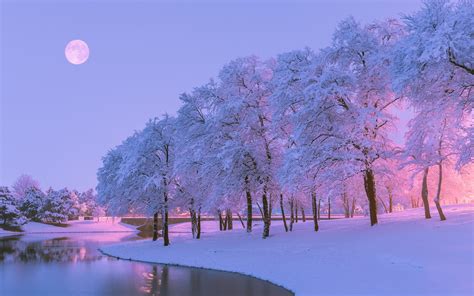 Wallpaper Beautiful Winter Snow Trees River Moon Dusk 2560x1600 Hd