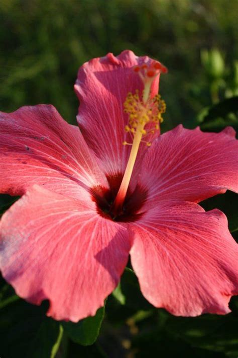 Check spelling or type a new query. Pin by Christina Gonzalez on Florida - Fort Myers and ...