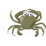 Crab Clipart Cangrejo Cartoon Hermit Transparent Webstockreview