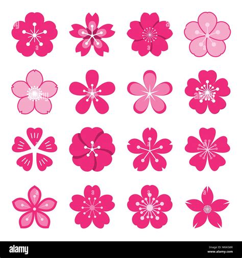Sakura Icons Collection Of 16 Colored Ume Japanese Cherry Blossom Symbols Isolated On A White