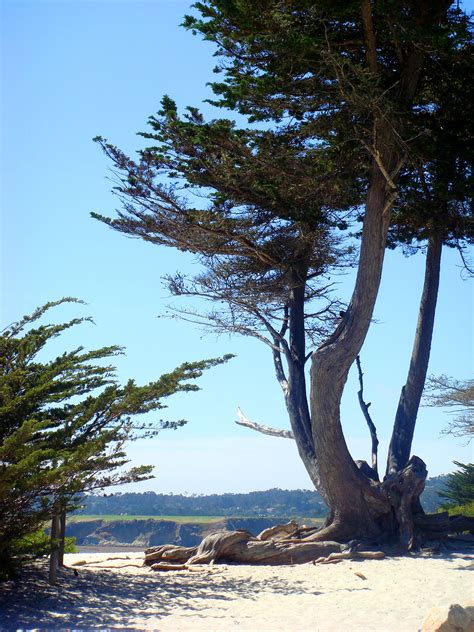 I kept waiting for something profound to happen but it never did. Carmel-by-the-Sea, California - Wikipedia