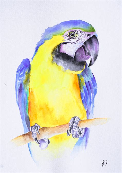 Parrot Watercolor Painting Macaw Parrot Artwork Blue And Etsy