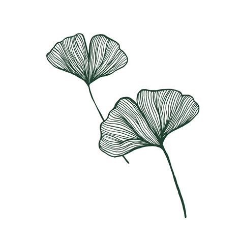 Rose tattoos | best rose tattoo ideas. foral illustration flower leaf illustrator graphic design ...