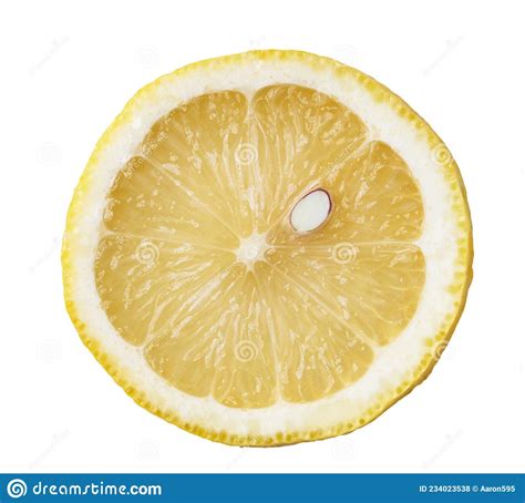 Slice Of Lemon Isolated On A White Background Stock Photo Image Of