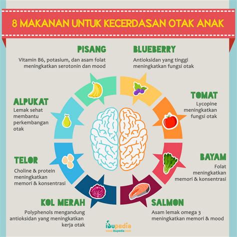 Tergolong bahan makanan yang mudah sekali busuk oleh sebab itu. 8 Makanan untuk Kecerdasan Otak Anak- Infografis - Ibupedia