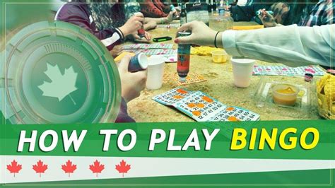 How To Play Bingo Online Full Guide From Experts Youtube
