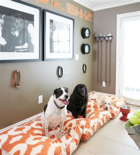 Stylish Decor And Pets Can Coexist In Your Home Heres How