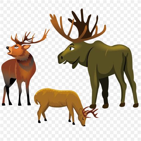 Reindeer Elk Moose Red Deer PNG 2083x2083px Reindeer Antler Deer