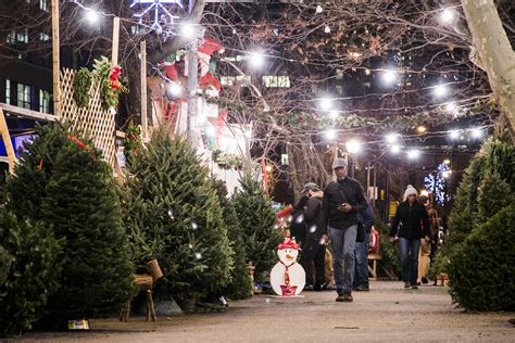 A Peek Behind The Curtain At New Yorks Christmas Tree Trade