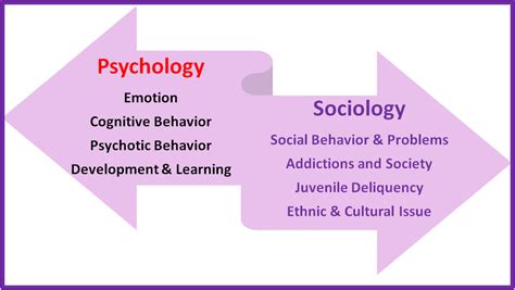 What Is Actually A Variation Between Psychology Vs Sociology Moenguy