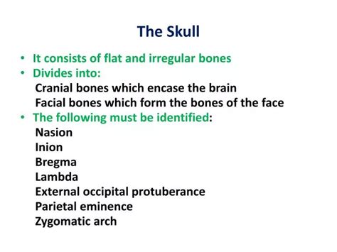 Ppt The Skull Powerpoint Presentation Free Download Id2282863