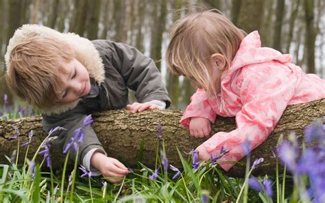 Childrens Knowledge Of Nature Is Dwindling Study Finds Telegraph