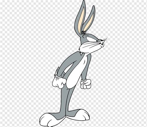 Get Bugs Bunny Cartoon Characters Looney Tunes Images Vector