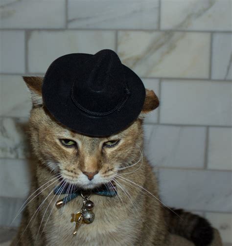 Black Cowboy Cat Hat Free Shipping Etsy