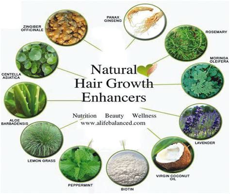 Update More Than 88 African Herbs For Hair Growth Super Hot Ineteachers