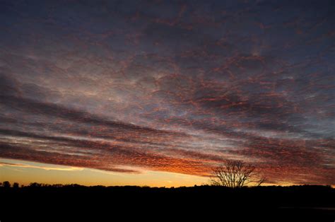 Honeycomb Sky Dsc5174 I Saw The Clouds On My Way Home Fro Flickr