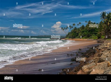 Sri Lanka Mannar Island Hi Res Stock Photography And Images Alamy