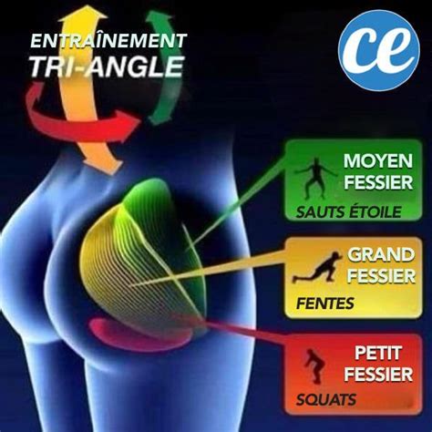 meilleur Exercices Pour Avoir Des Fesses Bombées Images Jesuscourse