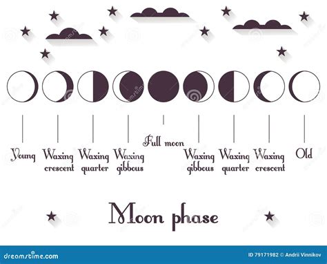 Les Phases De La Lune Le Cycle Entier De La Nouvelle Lune à