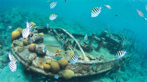 Curacao Underwater Marine Park Snorkeling