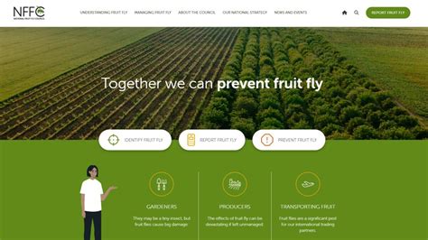 Nffc Unveils New Web Design National Fruit Fly Council