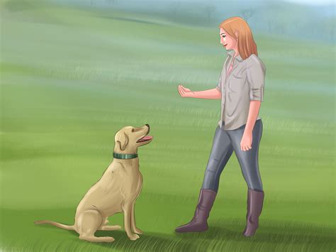 How to train a dog to respond to no | purina. 4 formas de enseñar a tu perro a sentarse - wikiHow