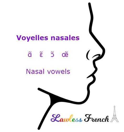 Un Lawless French Pronunciation French Nasal Vowel