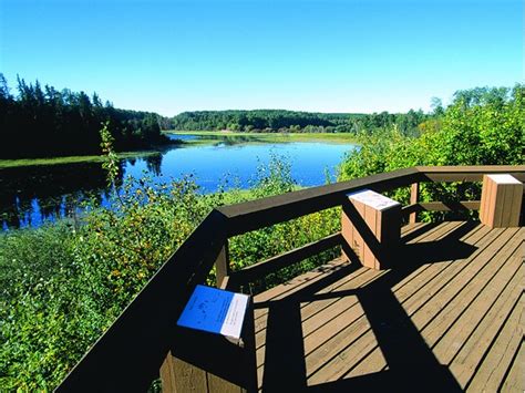 Maybe you would like to learn more about one of these? Cold Lake Provincial Park Campground | Alberta Canada