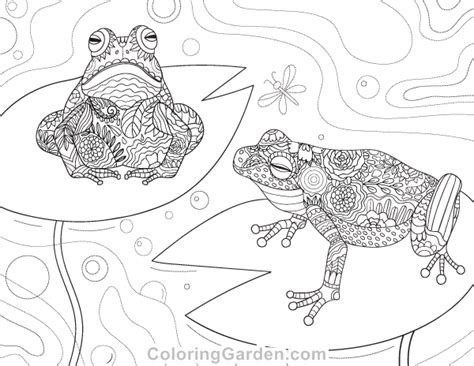 Sophisticated frog coloring page for adults. Frog Adult Coloring Page