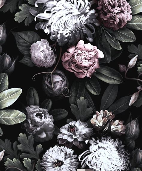 763 Wallpaper Black Flower Pics Myweb