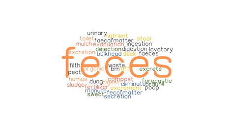 FECES: Synonyms and Related Words. What is Another Word for FECES ...