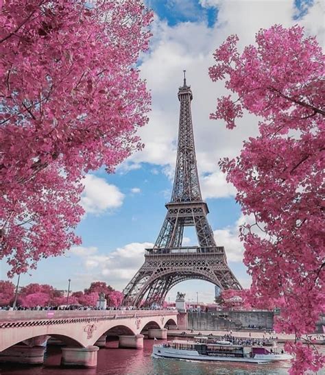 Spring In Paris 🌸🌸🌸 Picture By Kyrenian Earthroulette For A Feature