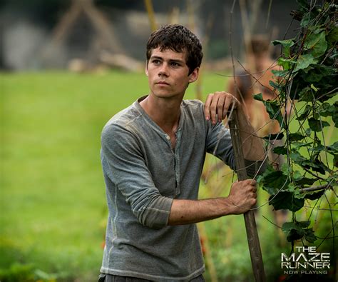 Dylan As Thomas In The Maze Runner Dylan Obrien Photo 37612702