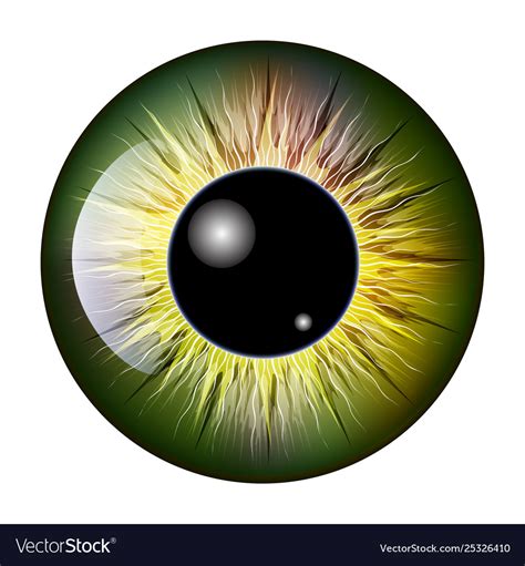 Eye Pupil Iris Symbol Icon Design Beautiful Vector Image