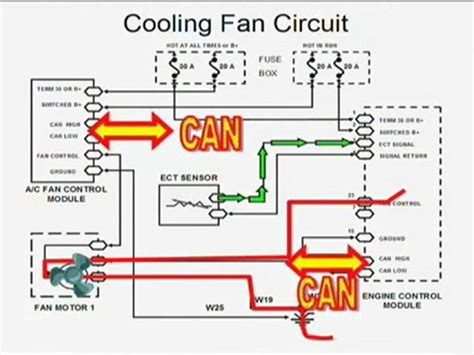 Engine Cooling Fan Wiring Diagram Circuit Diagram