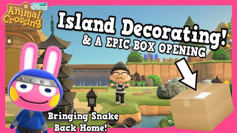 Special Box Snake And Decorating Acnh Youtube