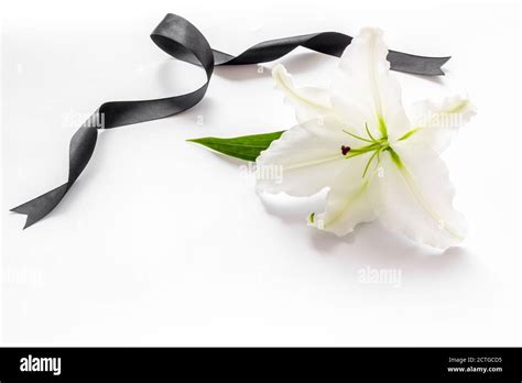 Funeral symbols. White lily with black ribbon, top view Stock Photo - Alamy