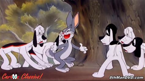 Best Of Looney Toons Bugs Bunny Cartoon Compilation Hd