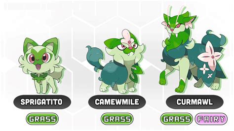 Pokemon Scarlet And Violet Starters Evolutions What We Know So Far