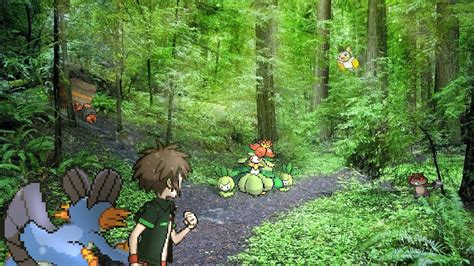 Pokemon Forest Backgrounds Wallpaper Cave