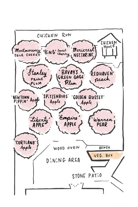 Fruit Orchard Design For Small Spaces Organic Gardening Mother