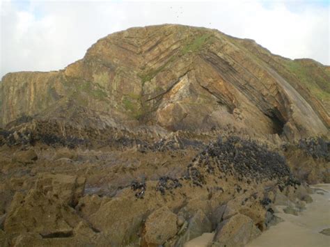Bude Geology Walks The Upton Anticline Syncline Pair