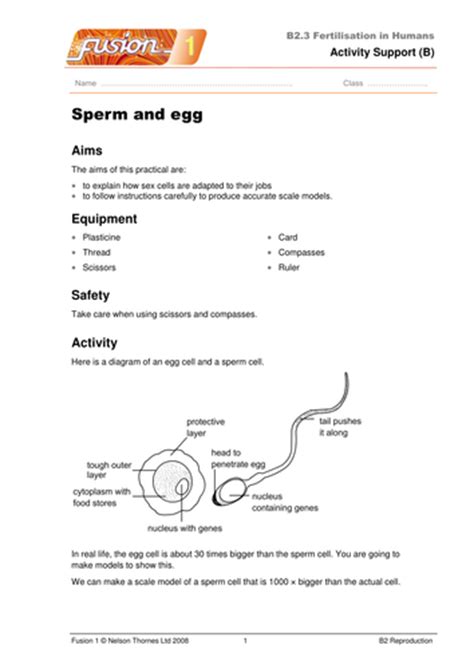 Fertilisation Worksheet And Sex Cells Activity Teaching Resources