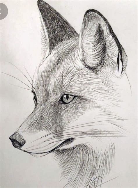 Pin By Luis On Drawing In 2020 Animal Drawings Sketches Pencil